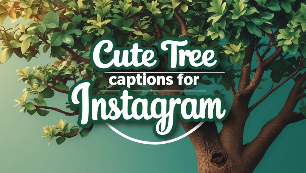 Cute Tree Captions for Instagram