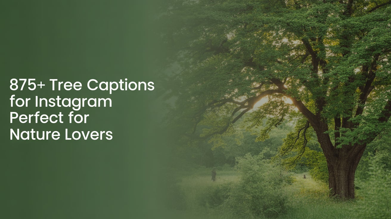 875+ Tree Captions for Instagram Perfect for Nature Lovers