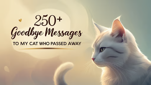 250+ Goodbye Messages to My Cat Who Passed Away