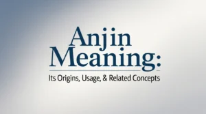 Anjin Meaning: Its Origins, Usage, & Related Concepts