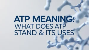 ATP Meaning : What Does ATP Stand & It’s Uses
