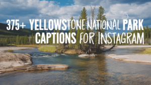 375+ Yellowstone National Park Captions for Instagram